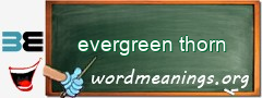 WordMeaning blackboard for evergreen thorn
